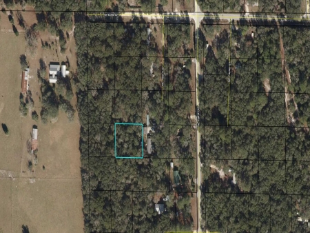 Forrest Park Hills Lot 4